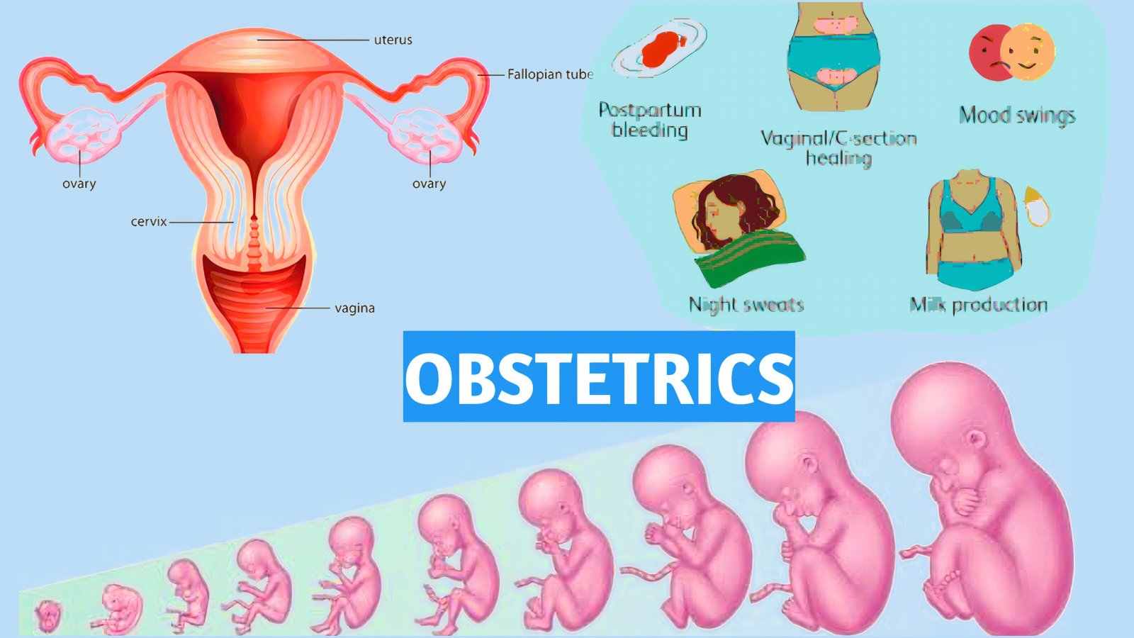 Obstetrics & Gynaecology Department